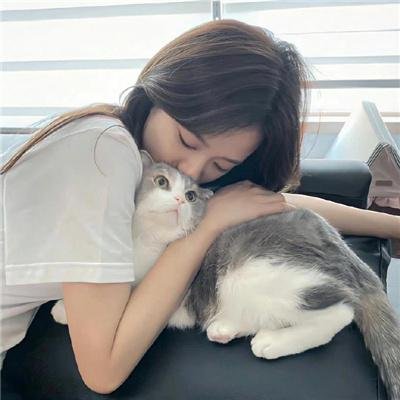 好久不见啊喵 海报